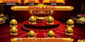 Săn trứng Sumclub